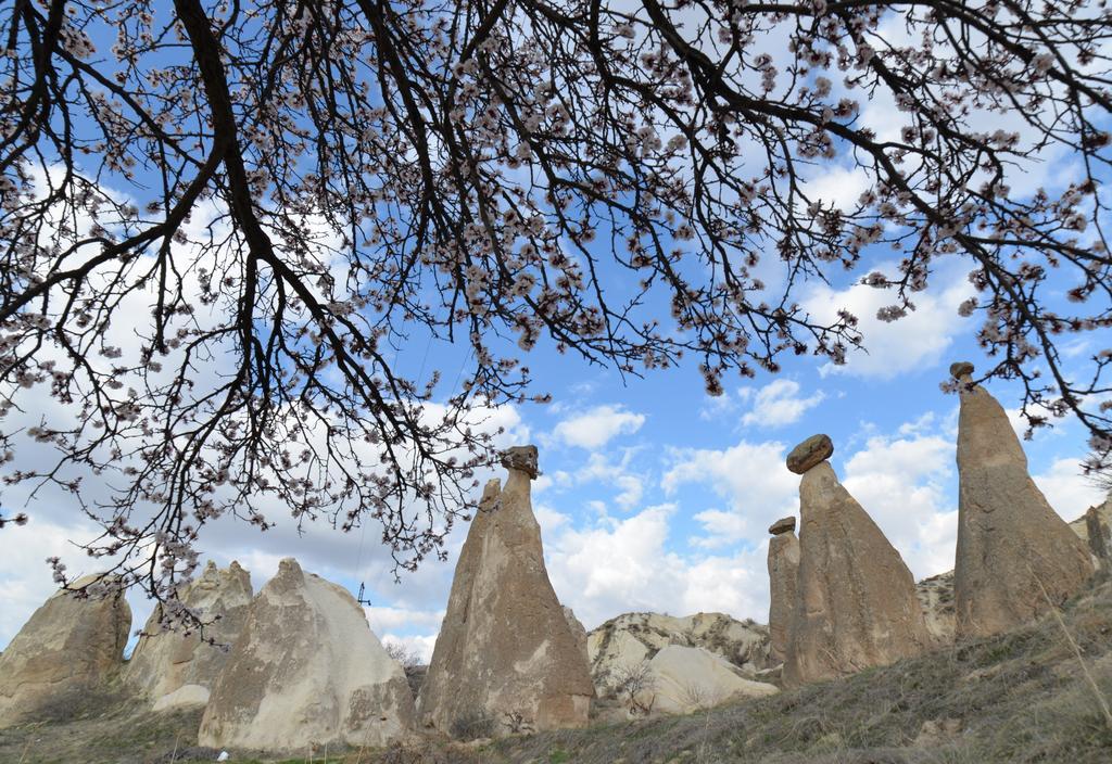 Grand Cave Suites Goreme Bagian luar foto
